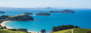 Waiheke Car Rental