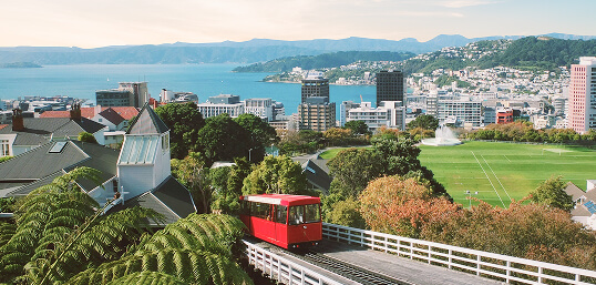 Wellington Car Rental