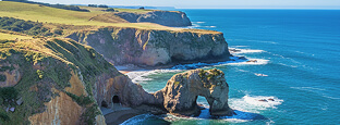 Dunedin Car Rental
