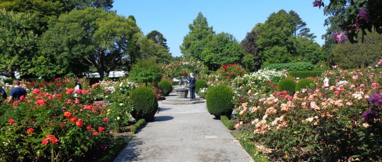 Christchurch Botanic Garden