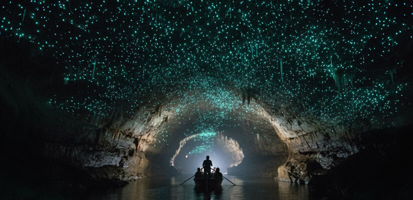 Glowworm Caves in Waitomo