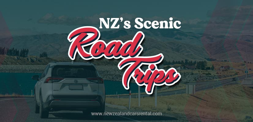 Scenic Road Trips in New Zealand